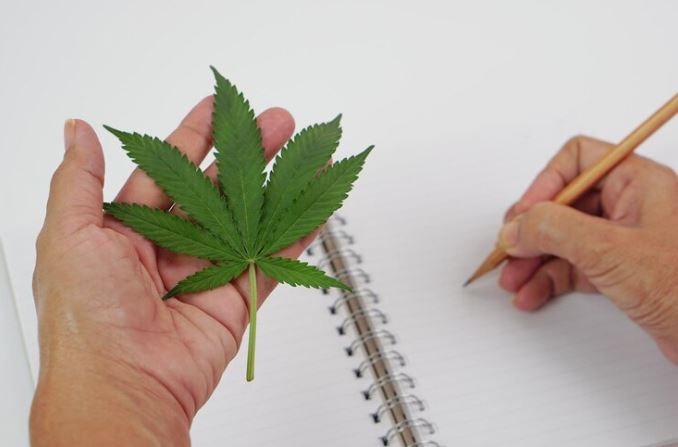 Understanding Cannabis for Pain Management: A Comprehensive Guide